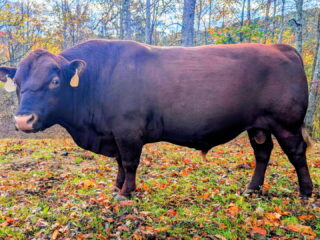 B0E392D4-E9E9-4867-A56B-C7F4BC9CAF17