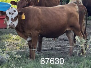 5D3961B4-8008-4691-9618-E090228DC5B0-1