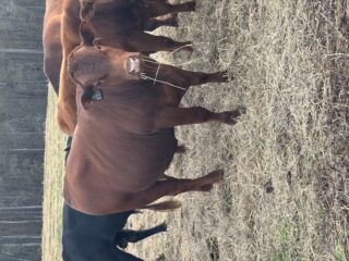 Image_20251126_140127_116