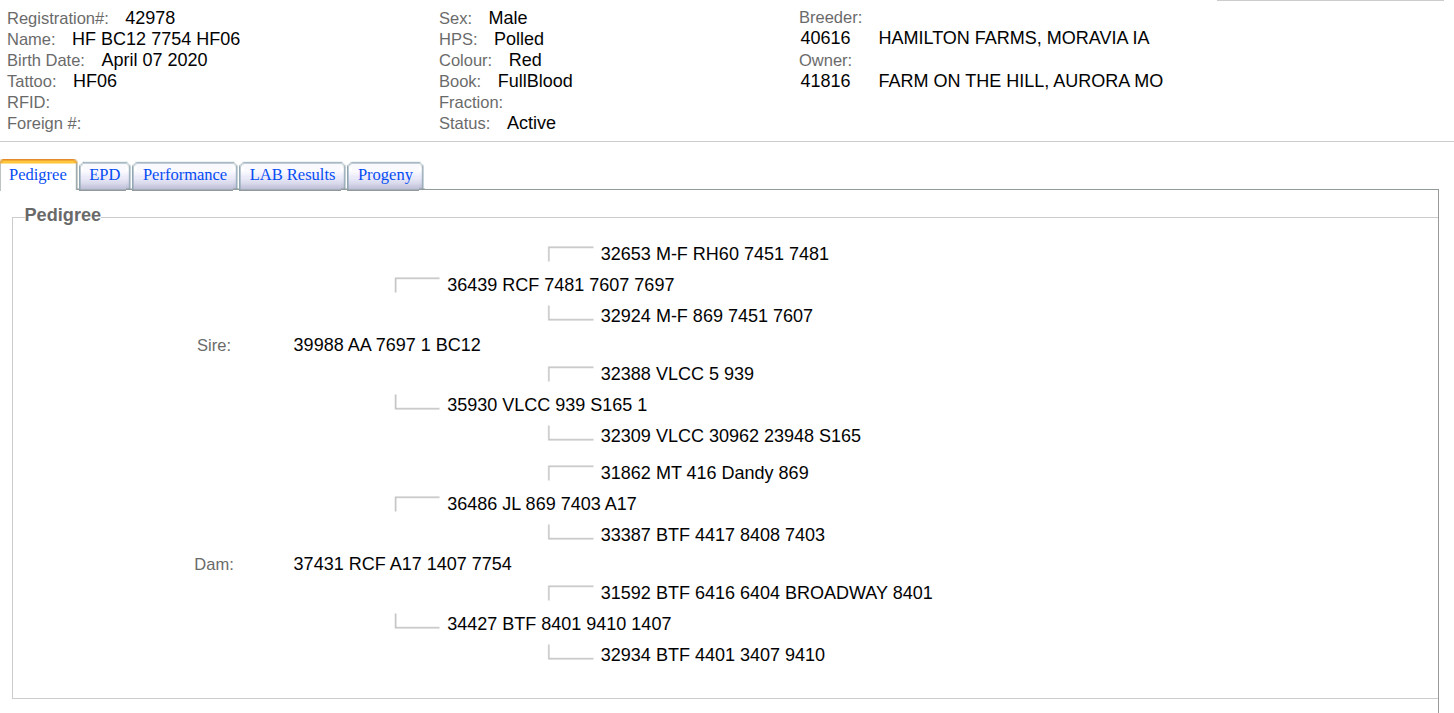 (Pending) Proven fullblood bull for trade