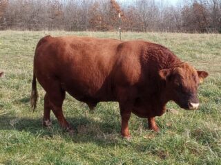 photo_2025-12-10_11-04-16