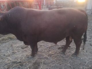 IMG_20260105_173811729