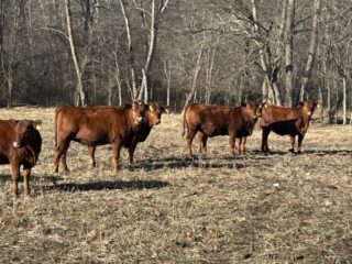 fc2a4ed2-6b09-48ea-a331-b83dc1bd59a4