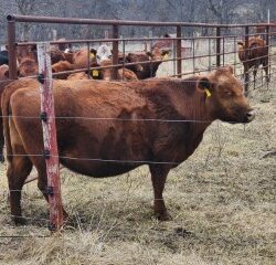 11cb9209-233a-4f57-a518-d7ca7bc53b0a