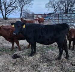 2de16276-799b-4f5a-ad50-2b3a5143dc02