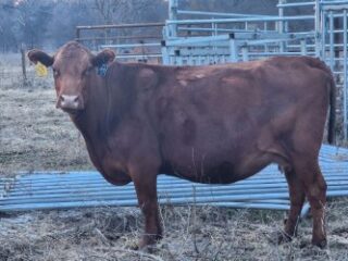 3f8aec39-76a8-4198-9cd5-9e4fa2a61ae0