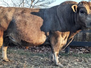 PXL_20260119_213553618