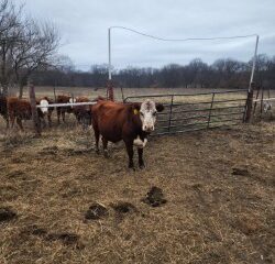 f19340ec-2542-4171-bb43-05f16b3c2ff9