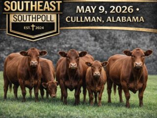 224D9FC3-E12B-4055-B329-90F225277EAC_1_102_o