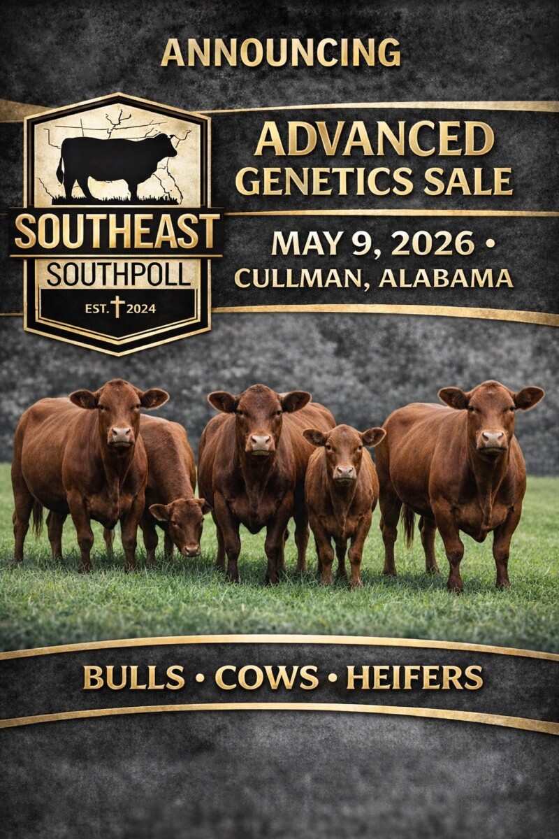 ADVANCED GENETICS AUCTION!!