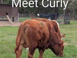 PXL_20260409_1809141442