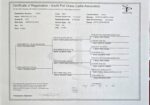 3 year old registered purebred