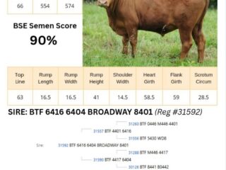695095040_1264684935843687_3191343093718448814_n