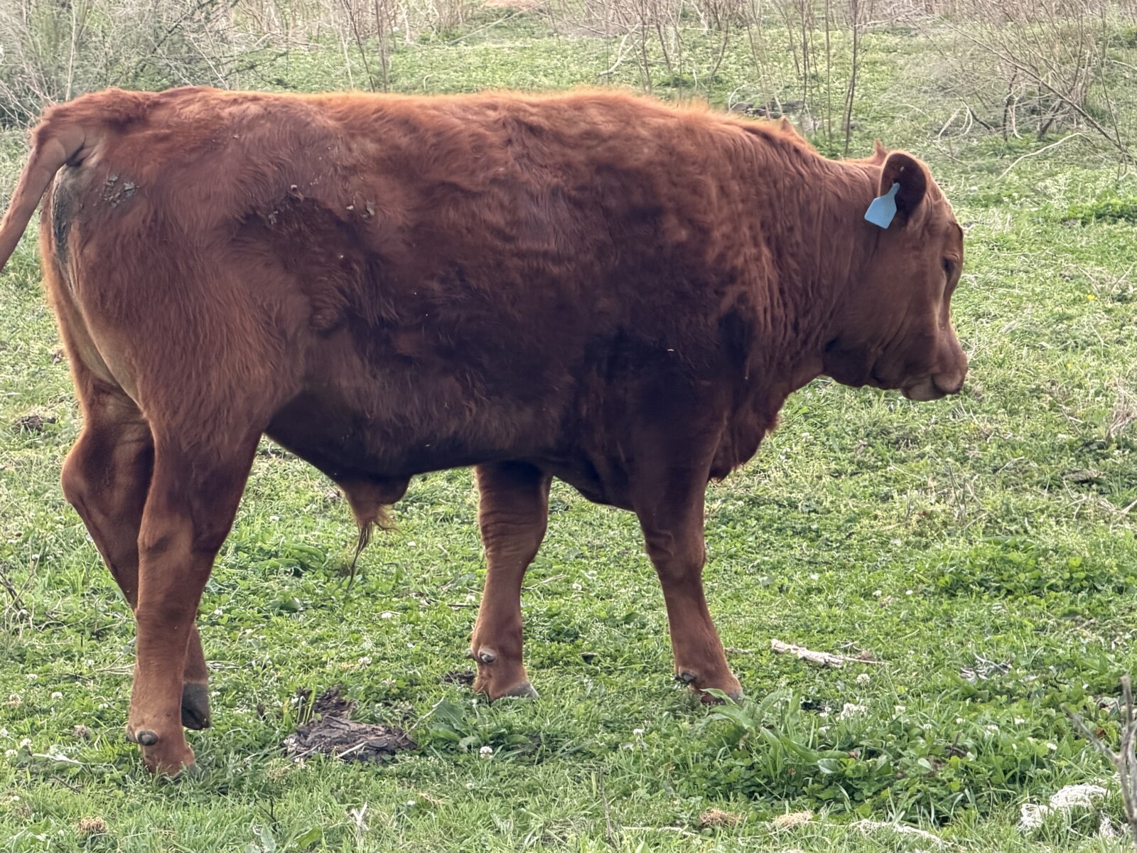 9404 Son Available