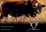 FULL BLOOD GENESIS #520 SEMEN