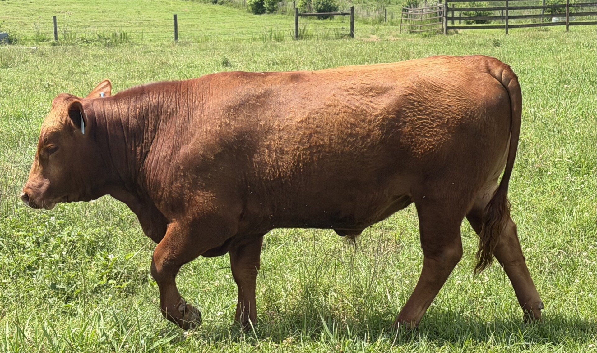 9404 Son Available