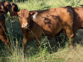 IMG_5788