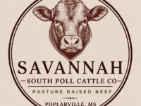 Store Logo