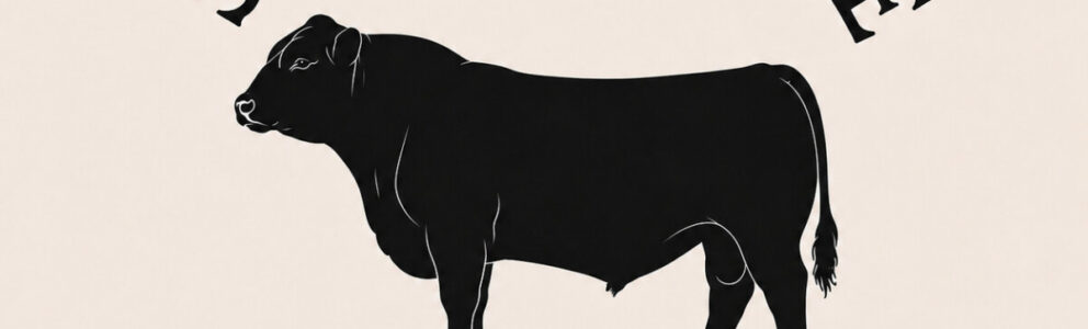 Store Banner