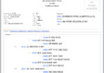 SF F312 — 8yr. Fullblood Herd Sire