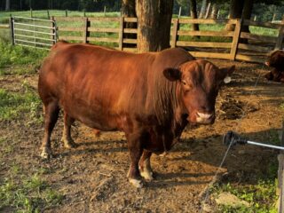 image066